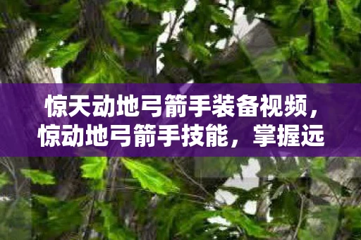 惊天动地弓箭手装备视频，惊动地弓箭手技能，掌握远程战斗的艺术