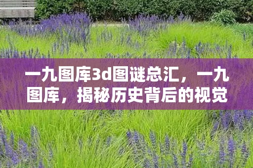 一九图库3d图谜总汇,一九图库,揭秘历史背后的视觉盛宴 一九图库3d图谜总汇,一九图库,揭秘历史背后的视觉盛宴