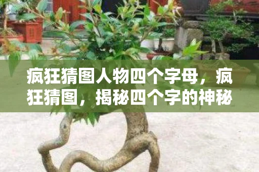 疯狂猜图人物四个字母，疯狂猜图，揭秘四个字的神秘人物