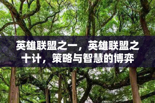 英雄联盟之一，英雄联盟之十计，策略与智慧的博弈