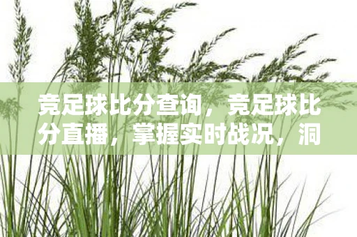竞足球比分查询，竞足球比分直播，掌握实时战况，洞悉比赛走向