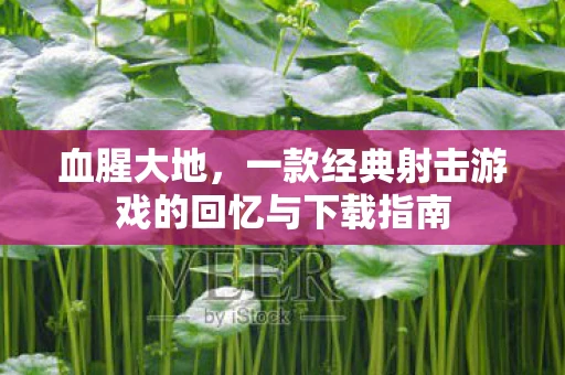 血腥大地，一款经典射击游戏的回忆与下载指南