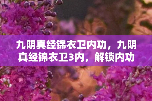九阴真经锦衣卫内功，九阴真经锦衣卫3内，解锁内功新境界，掌握绝世武功