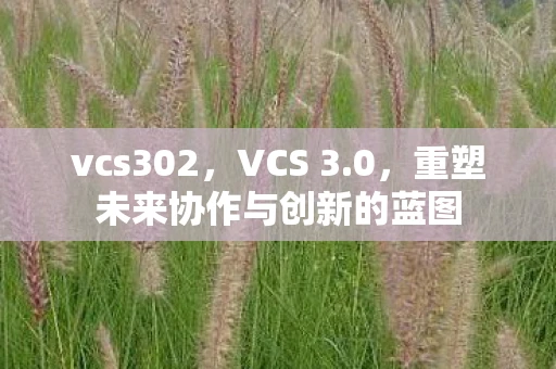 vcs302,VCS 3.0,重塑未来协作与创新的蓝图 vcs302,VCS 3.0,重塑未来协作与创新的蓝图