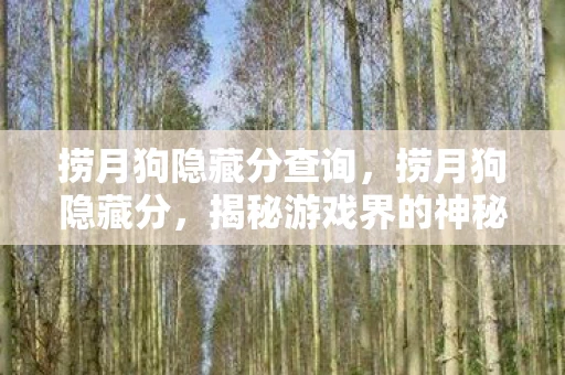 捞月狗隐藏分查询，捞月狗隐藏分，揭秘游戏界的神秘存在