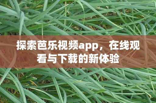 在线观看与下载的新体验图片