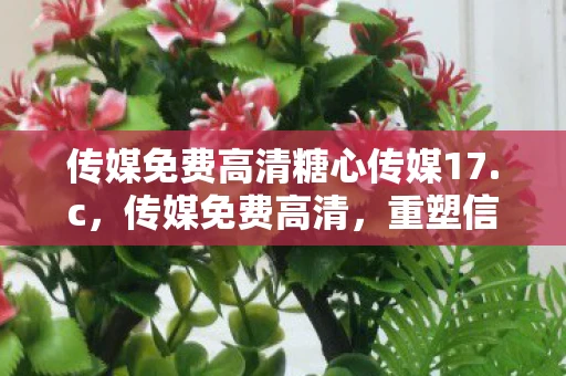 传媒免费高清糖心传媒17.c，传媒免费高清，重塑信息时代的视觉盛宴