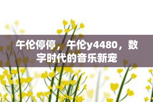 午伦停停，午伦y4480，数字时代的音乐新宠