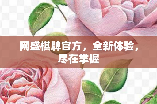网盛棋牌官方图片