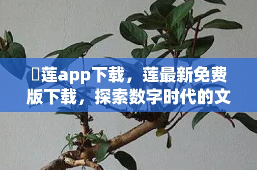 蓅莲app下载，莲最新免费版下载，探索数字时代的文化瑰宝