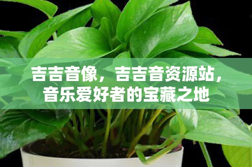 吉吉音像，吉吉音资源站，音乐爱好者的宝藏之地