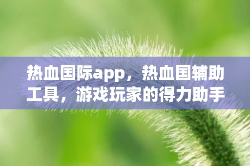 热血国际app，热血国辅助工具，游戏玩家的得力助手