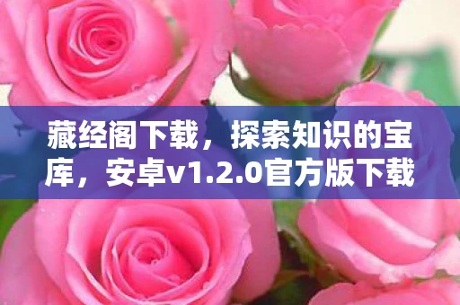 0官方版下载指南图片