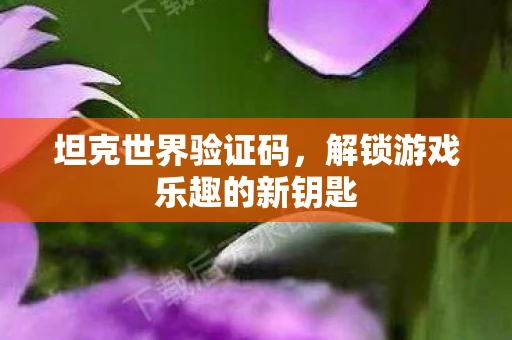 坦克世界验证码，解锁游戏乐趣的新钥匙
