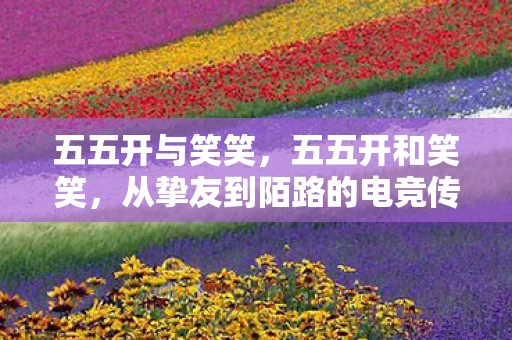 五五开与笑笑，五五开和笑笑，从挚友到陌路的电竞传奇