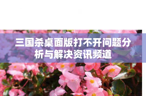 三国杀桌面版打不开问题分析与解决资讯频道图片