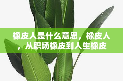 橡皮人是什么意思，橡皮人，从职场橡皮到人生橡皮