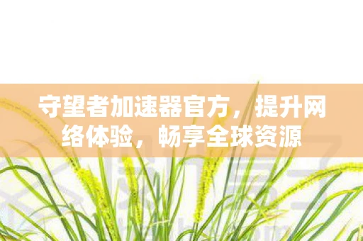 守望者加速器官方，提升网络体验，畅享全球资源