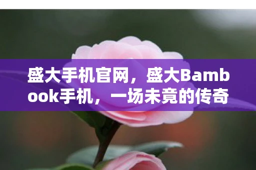 盛大手机官网，盛大Bambook手机，一场未竟的传奇
