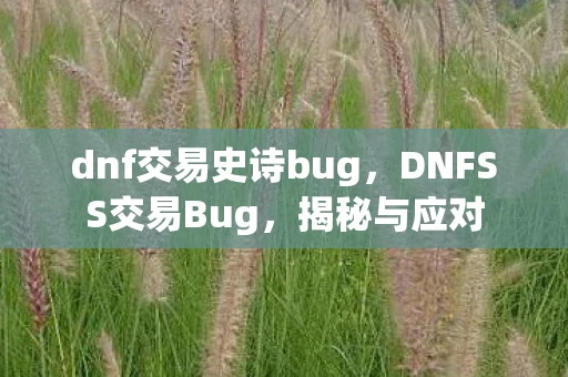 dnf交易史诗bug，DNFSS交易Bug，揭秘与应对