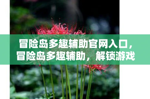冒险岛多趣辅助官网入口，冒险岛多趣辅助，解锁游戏新体验