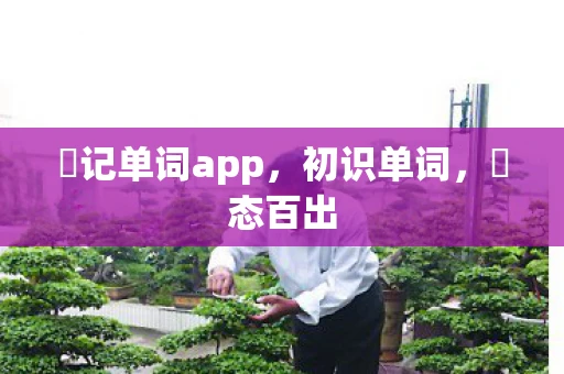 囧记单词app，初识单词，囧态百出