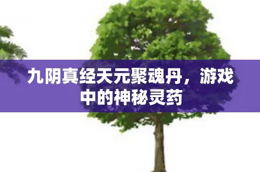 九阴真经天元聚魂丹图片
