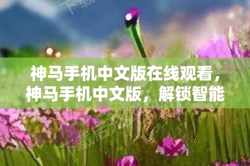 神马手机中文版在线观看，神马手机中文版，解锁智能生活的全新方式