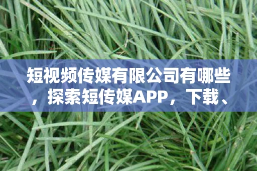 短视频传媒有限公司有哪些，探索短传媒APP，下载、功能与用户体验