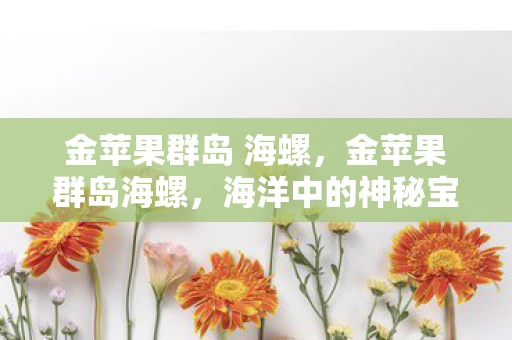 金苹果群岛 海螺，金苹果群岛海螺，海洋中的神秘宝藏