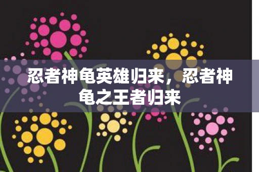 忍者神龟英雄归来，忍者神龟之王者归来