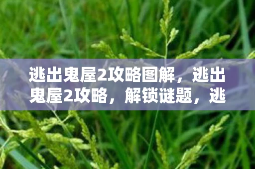 逃出鬼屋2攻略图解，逃出鬼屋2攻略，解锁谜题，逃离恐怖之地