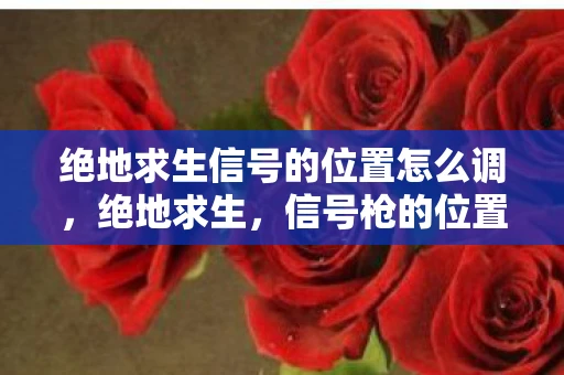 绝地求生信号的位置怎么调，绝地求生，信号枪的位置与战略运用