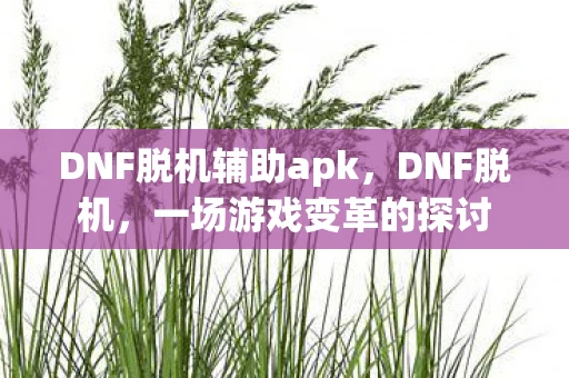 DNF脱机辅助apk，DNF脱机，一场游戏变革的探讨