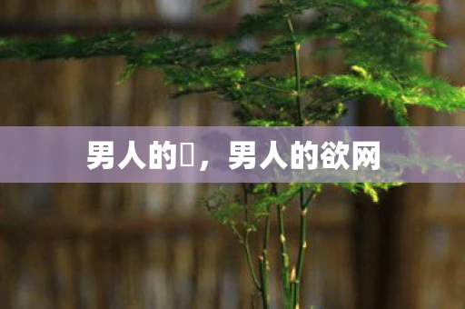 男人的嘚，男人的欲网
