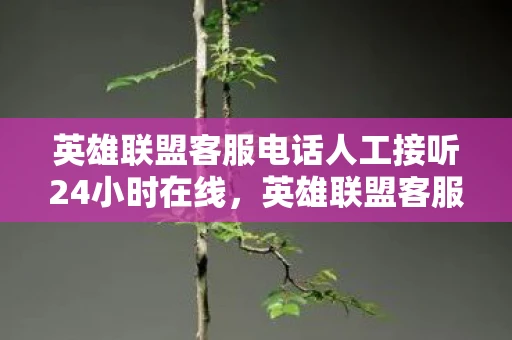 英雄联盟客服电话人工接听24小时在线，英雄联盟客服，玩家心中的守护者