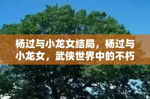 杨过与小龙女结局，杨过与小龙女，武侠世界中的不朽传奇