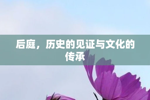 后庭，历史的见证与文化的传承