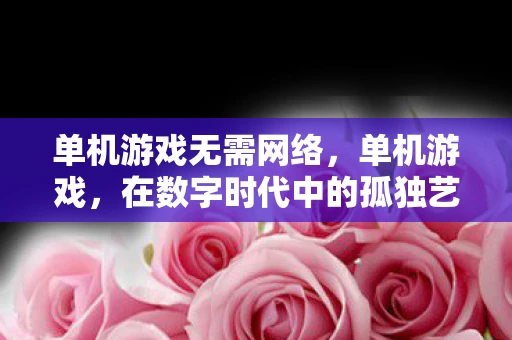 单机游戏无需网络，单机游戏，在数字时代中的孤独艺术