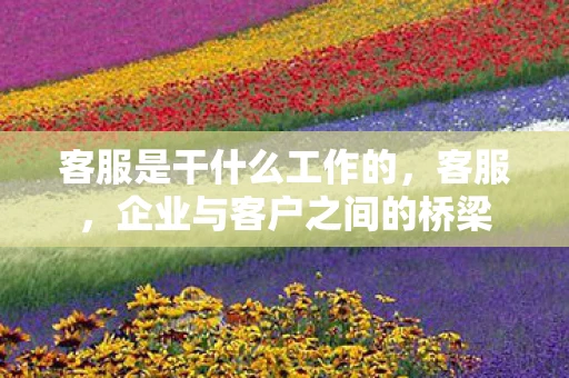 客服是干什么工作的，客服，企业与客户之间的桥梁