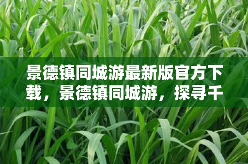 景德镇同城游最新版官方下载,景德镇同城游,探寻千年瓷都的文化魅力 景德镇同城游最新版官方下载,景德镇同城游,探寻千年瓷都的文化魅力