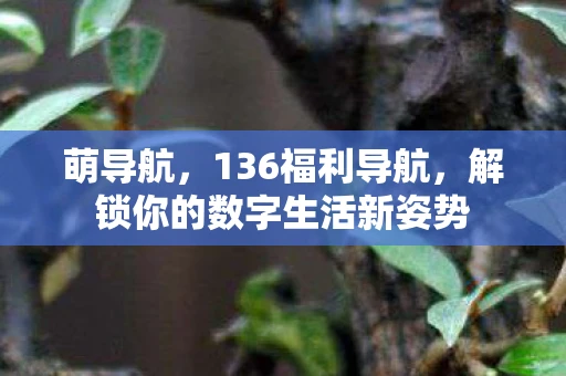 萌导航，136福利导航，解锁你的数字生活新姿势