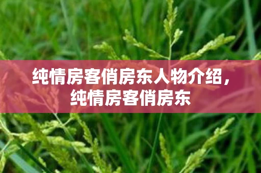 纯情房客俏房东人物介绍，纯情房客俏房东