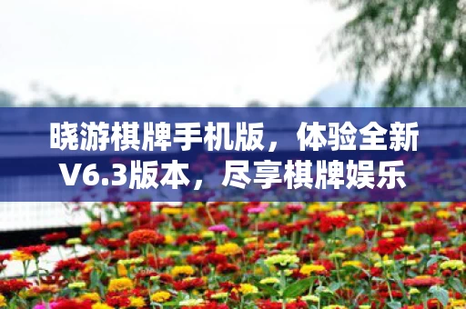 尽享棋牌娱乐的魅力图片