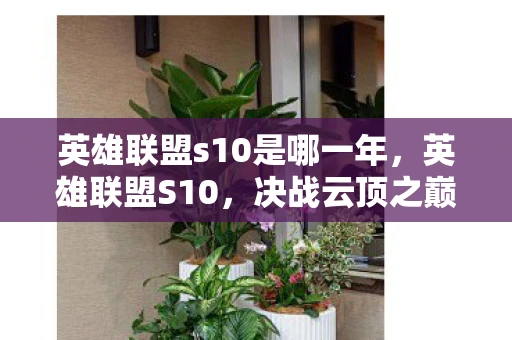 英雄联盟s10是哪一年，英雄联盟S10，决战云顶之巅