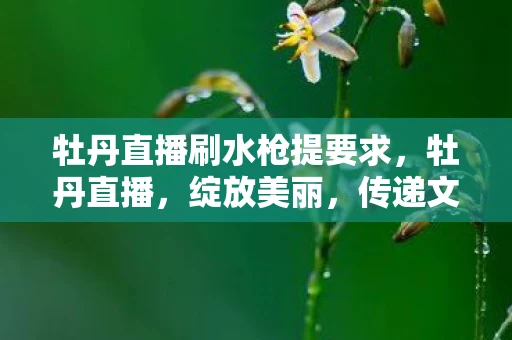 牡丹直播刷水枪提要求，牡丹直播，绽放美丽，传递文化