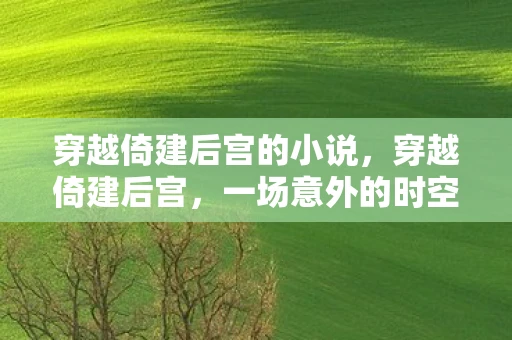 穿越倚建后宫的小说，穿越倚建后宫，一场意外的时空之旅