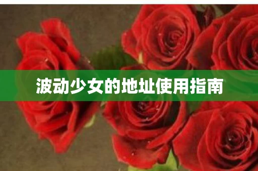 波动少女的地址使用指南图片