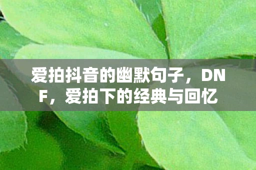 爱拍抖音的幽默句子，DNF，爱拍下的经典与回忆