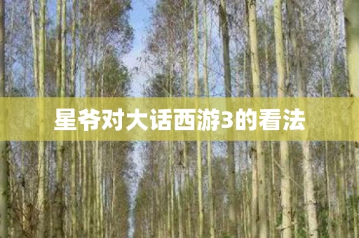 星爷对大话西游3的看法图片